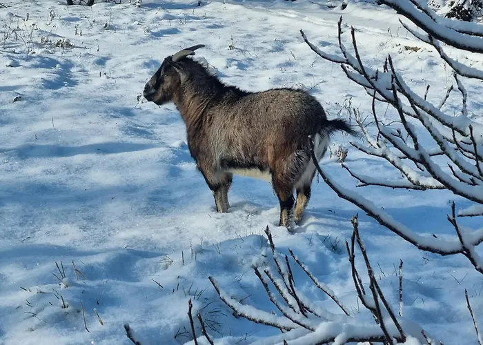 Hébergement de vacances A La Casa De Papel *